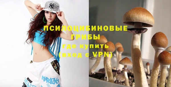 не бодяженный Абаза