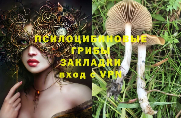 ALPHA PVP Переславль-Залесский