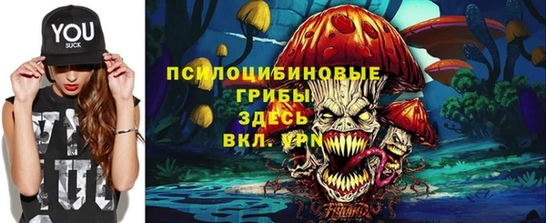 твердый Алексеевка